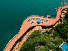 统统免费！珠海人“私藏”的过年秘境，颜值爆表