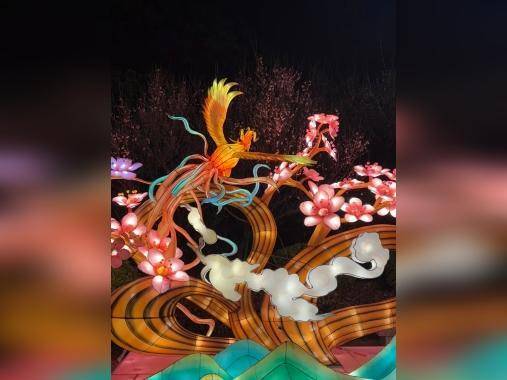 黄埔首届元宵灯会今天开幕!出行提示请查收