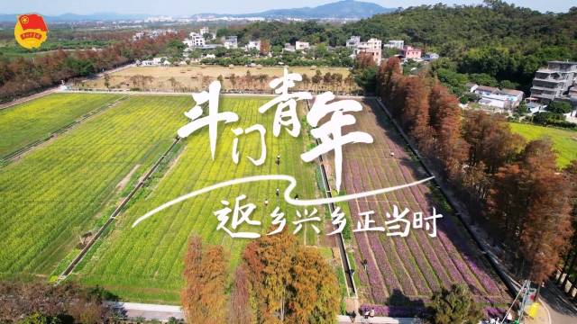 我与珠海的青春故事 返乡兴乡正当时