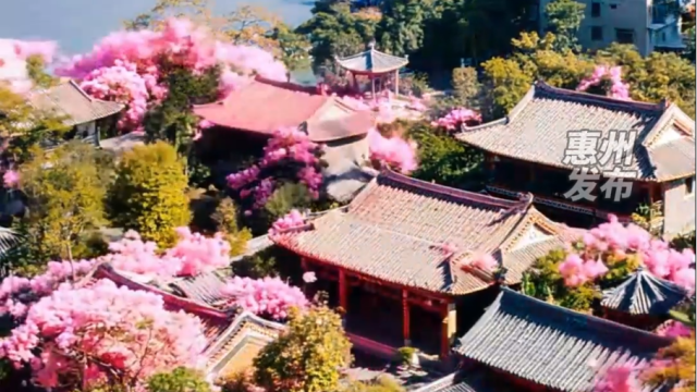 万物生花，灼灼其华，用AI打开惠州的春天！
