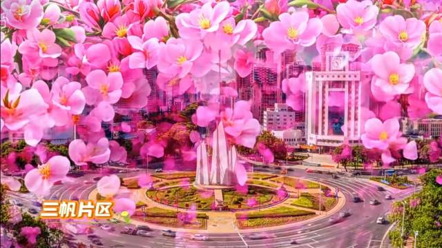 万物花开在湛江