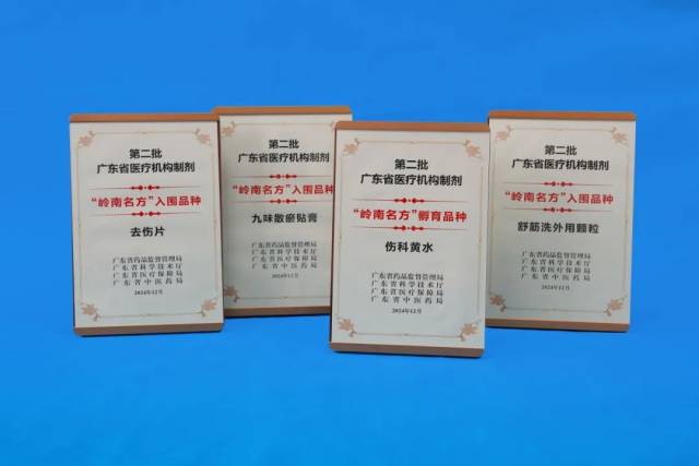 2024年获评第二批“岭南名方”孵育及入围品种