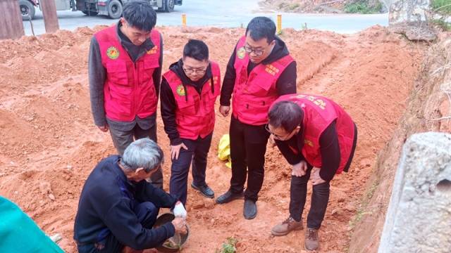 农业科技特派员助力特色产业抓春耕