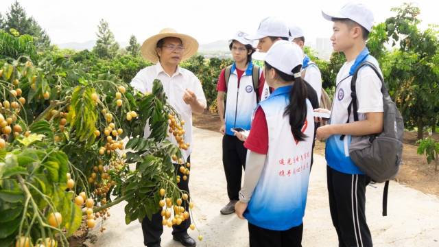 云浮：“云”聚青年人才力量  筑梦“百千万工程”