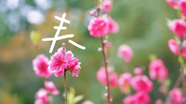 视频 | 捕捉博罗版的野生汉字，让大美风景说话~