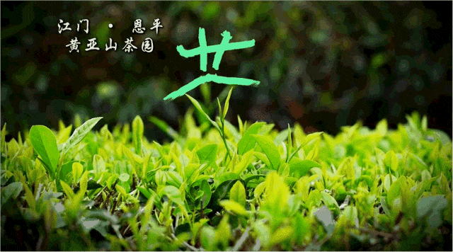 世界读书日，共赏恩平“野生汉字”之美！