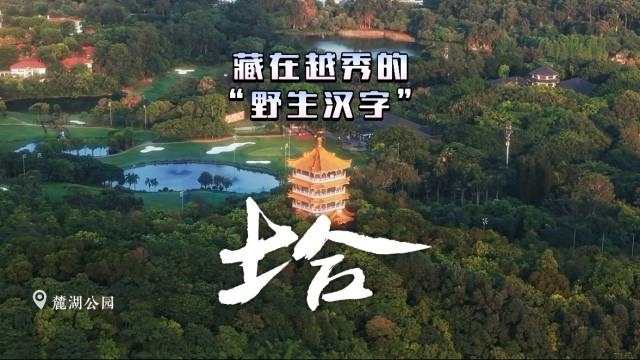 藏在越秀的“野生汉字”，等你来发现！