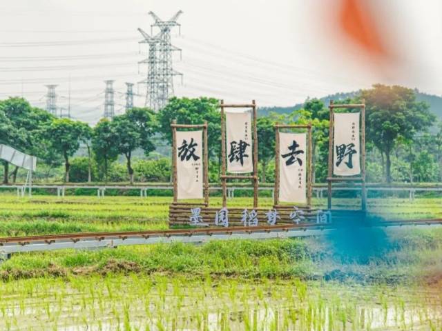 五一“惠”好玩 | 惠州7个岭南古村，一起去“村游”！
