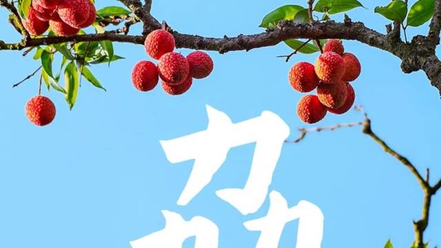“五一”为了约你出来玩，茂小布开始造“野生汉字”了