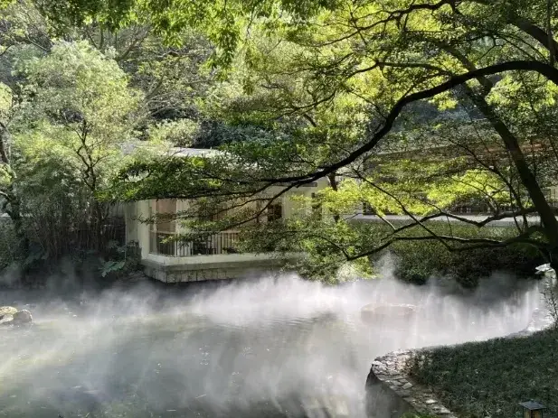 广州新公布5条最美线路！爬山能穿越“热带雨林”