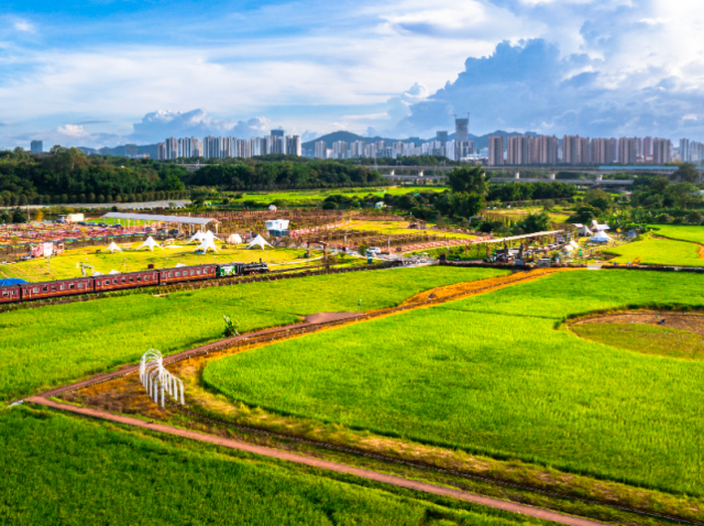 三年见成效,黄埔“百千万工程”这么干!