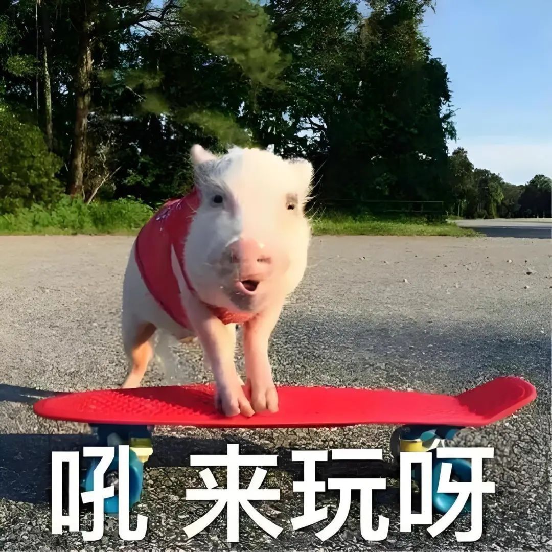 假期去哪玩?南沙这7个宝藏打卡点藏不住了_南方+_南方plus