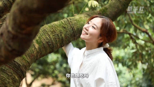 视频 | 东坡严选！带你实现“荔枝自由”