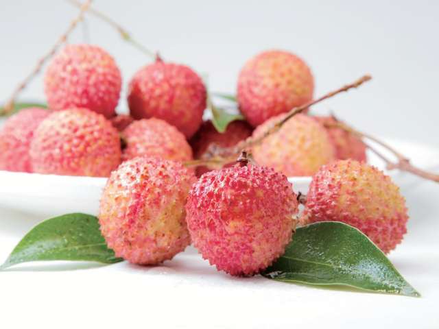 最晚熟、最大个、最好吃！从化荔枝优势拉满