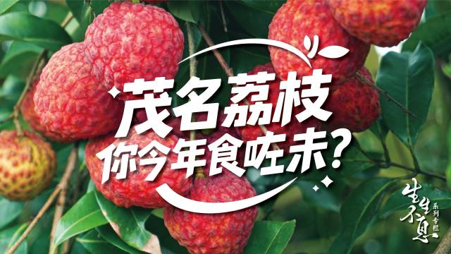 与时代共振|茂名，实“荔”出圈！