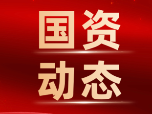 省国资系统基层党组织规范化建设研讨培训班顺利举办