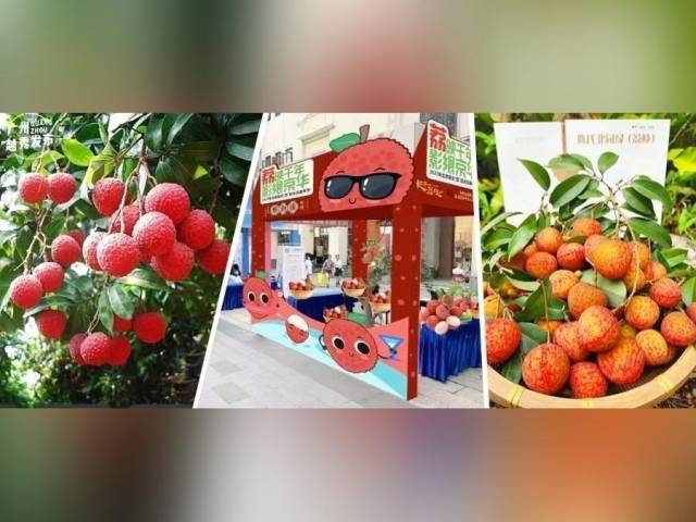 打卡电影场景！北京路周末变身“荔枝王国”