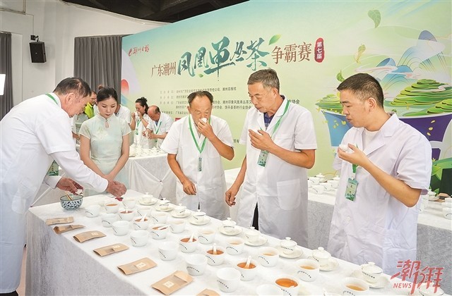 大赛评委对茶样进行评选。 潮州日报全媒体记者 黄春生 摄
