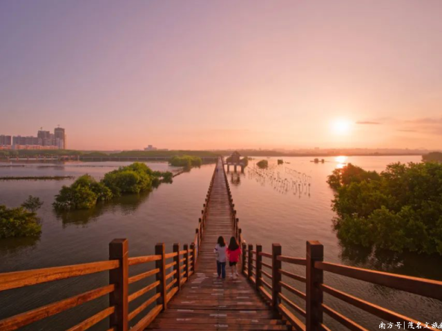 我为什么要劝你到粤西茂名这座小城度过你的暑期？