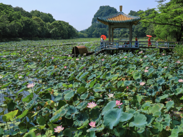 天然空调房！肇庆夏季最佳旅行地，找到了！