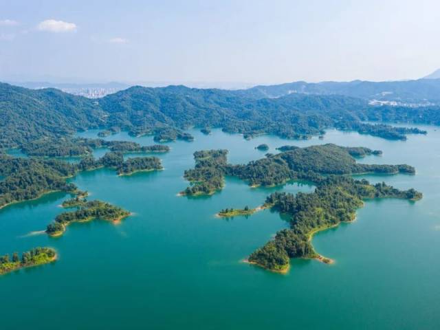 【乐游河源 清凉一夏】夏天去“有风的地方”，徒步万绿湖，邂逅清凉与自由！