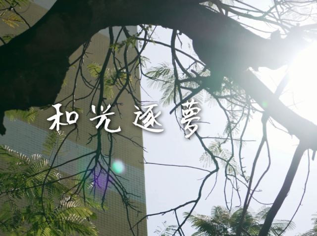 岭南童谣十周年经典作品展演 | 《和光逐梦》