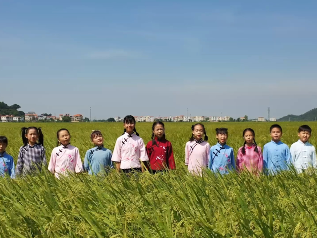 岭南童谣十周年经典作品展演 | 《惜粮谣》