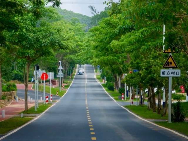 这才是「最美旅游公路」！自驾兜风太浪漫