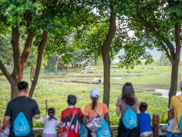 肇庆隐藏玩法大公开！暑假带娃这样玩，娃直呼“下次还来”