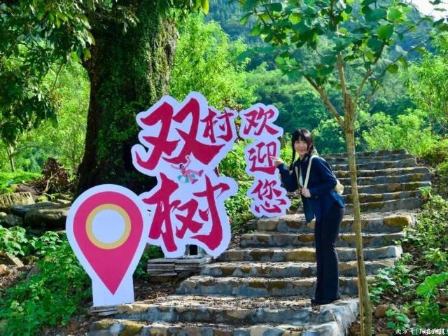 跟着《长安的荔枝》逛春城：双树村清凉一夏，打卡电影同款秘境