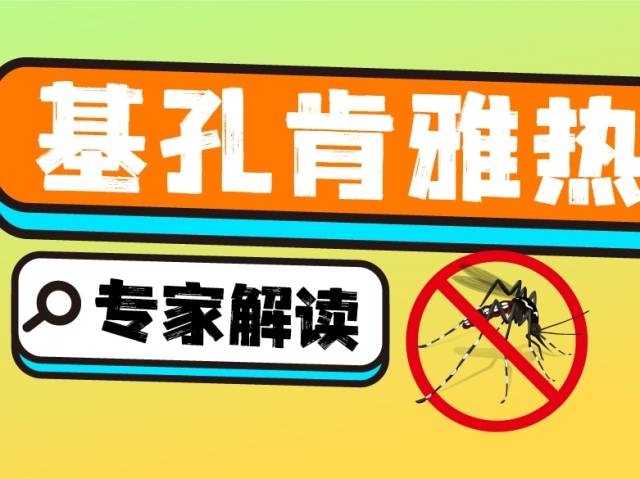 【一图读懂】关于基孔肯雅热，你想知道的都在这里→