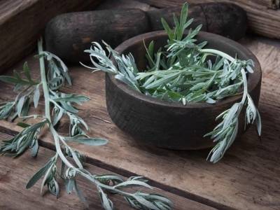 艾叶+薄荷=纯天然驱蚊水？老祖宗的防蚊智慧了解一下！