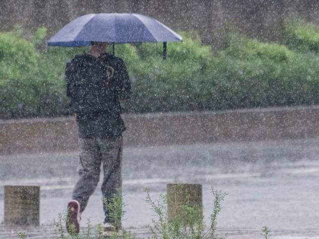 封开仍有暴雨、大暴雨!雨怎么下个没完?权威解释来了↘