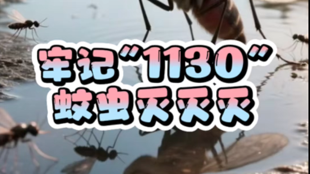 牢记“1130”，跟蚊虫说再见！