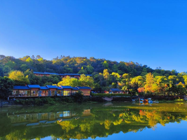 倪萍同款仙境！准大学生免费游罗浮山，登顶漂流一次嗨够！