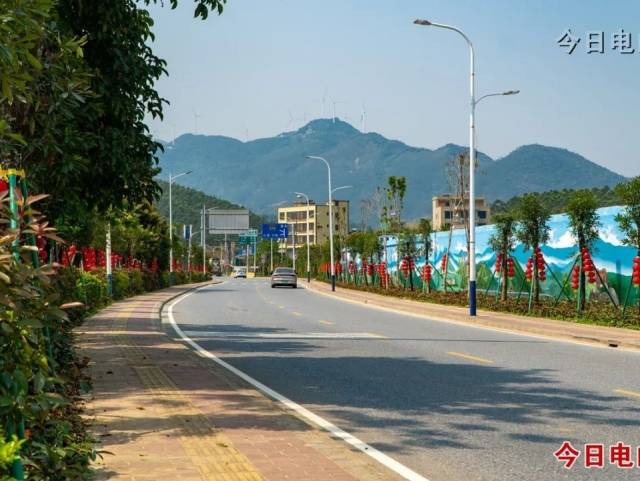 粤来粤好百千万｜黄岭镇“产业+”振兴故事：从“黄字号”水西竹笋，到“云上南清”出圈出彩