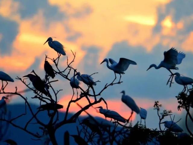 藏不住了！珠海这个村，爆红！