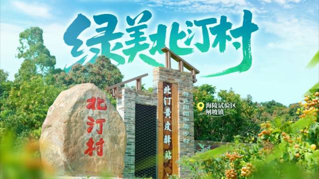 来阳江海陵岛“黄皮村”，乘凉赶海好自在