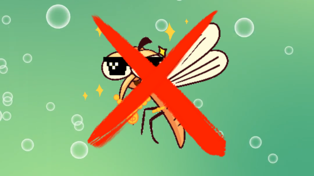 3招打败花蚊子，跟基孔肯雅热说不！