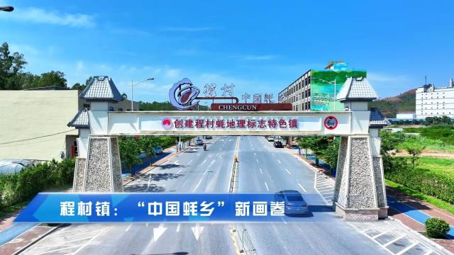 粤来粤好百千万｜程村镇：“中国蚝乡”新画卷