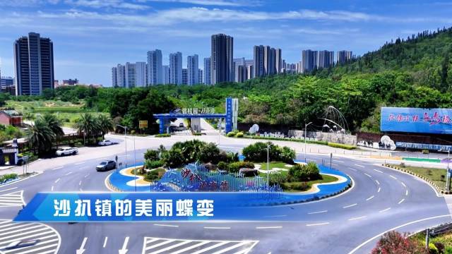 粤来粤好百千万｜沙扒镇的美丽蝶变
