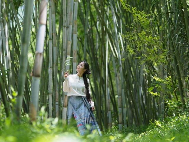 粤来粤好百千万｜竹韵茶香