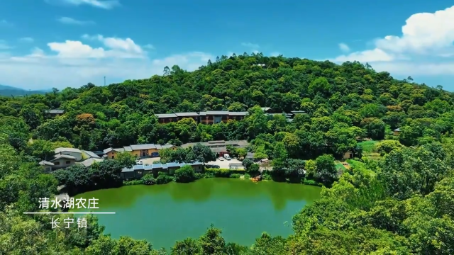 视频｜跟着歌声游博罗，带你感受“向往的生活”