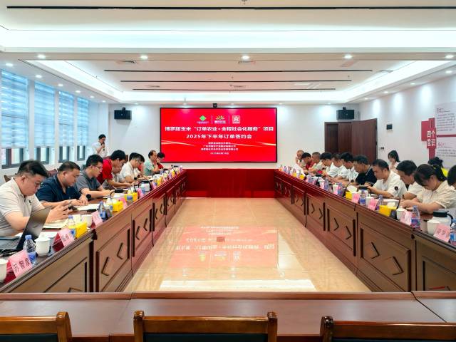 “甜”产业迎来“金”订单 博罗农户吃下“定心丸”