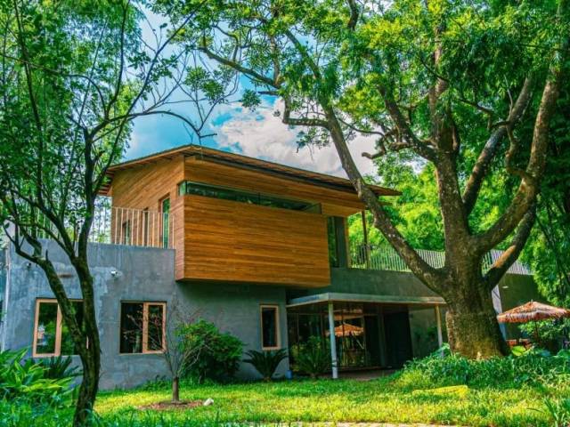 告别班味，速来博罗“充电”！