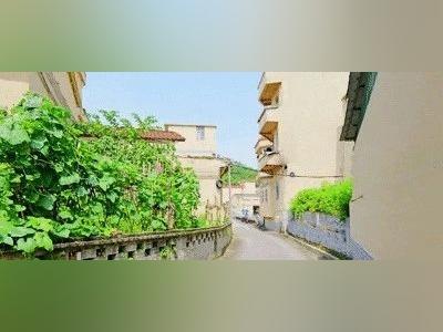 万洞村,房子美了!