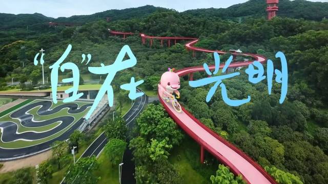 车轮向前，光明向上！