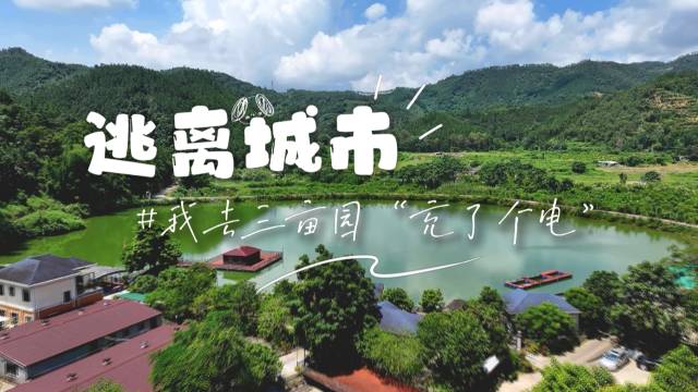 粤来粤好百千万| 挖到宝了！阳东居然藏了个世外桃源！