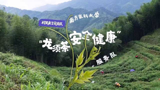 村里来了“突击队”|当茶香遇上硬核医学生，会碰撞出什么火花？