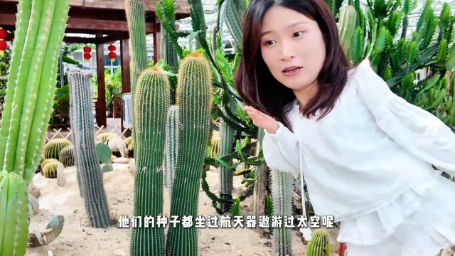 视频 | 打卡新作塘！航天科普 + 红色展厅，村游新玩法